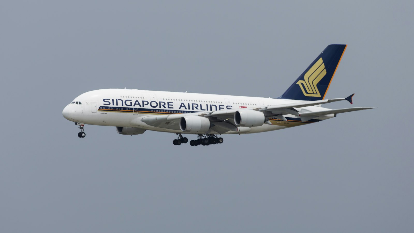 Singapore Airliner